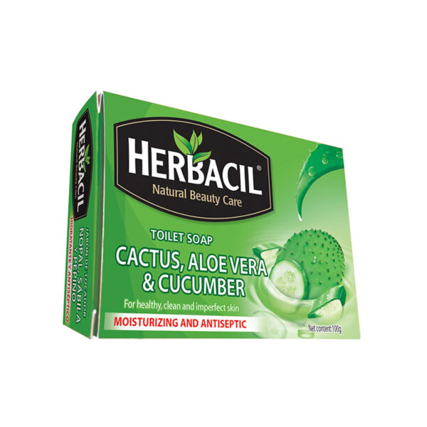 cactus-aloevera-cucumber